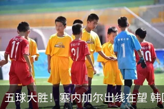 五球大胜！塞内加尔出线在望 韩国晋级仅剩理论希望